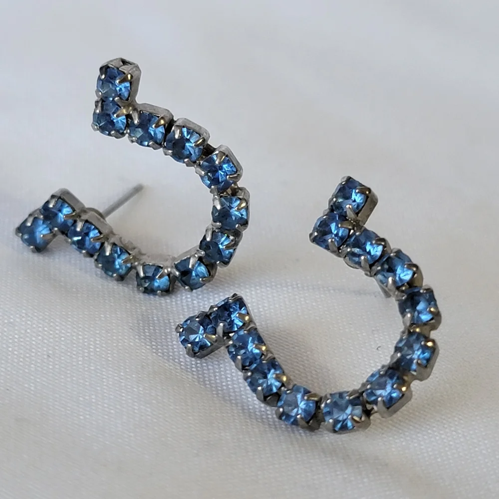 Rhinestone Horseshoe Earrings Sapphire Blue Color